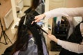 Hair coloring in the salon, hair styling. Professional wizard paints the hair in the salon. Royalty Free Stock Photo