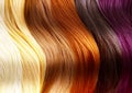 Vlasy farby palety 