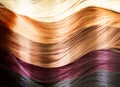 Hair Colors Palette Royalty Free Stock Photo