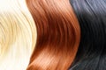 Hair colors palette Royalty Free Stock Photo