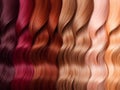 Hair Colors Palette. Hair Texture background Royalty Free Stock Photo