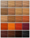 Hair colors palette on white background, top view. Collage Royalty Free Stock Photo