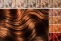 Hair colors palette on white background, top view. Collage Royalty Free Stock Photo