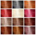 Hair colors set sample.