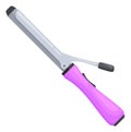 Hair curling iron. Electric device for home and beauty salon