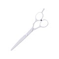 Hair Cutting Scissors Flat Illustration. Clean Icon Design Element on Isolated White Background Royalty Free Stock Photo