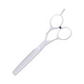 Hair Cutting Scissors Flat Illustration. Clean Icon Design Element on Isolated White Background Royalty Free Stock Photo