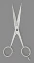 Hair cutting scissors isolated on white background. 3D illustration Royalty Free Stock Photo