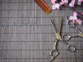 Hair cutting shears and comb