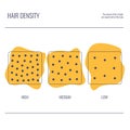 Hair density types chart of low, medium, high strand volume