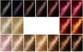 Hair dye shades. Hair color palette