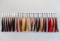 Hair dye strands samples hair dresser