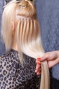 Hair extensions procedure. Hairdresser does hair extensions to young girl, blonde in a beauty salon. Selective focus. Royalty Free Stock Photo