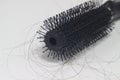 Photo Hair fall at white Black plastick comb, White Background