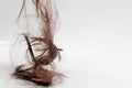 Hair falls down after cutting. the cut-off brown hair falls from above in a heap, hanging in the air. lots of hair falling out on