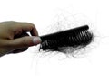 Hair falls out after combing on a white background Royalty Free Stock Photo