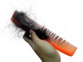 Hair falls out after combing on a white background Royalty Free Stock Photo
