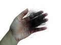 Hair falls out after combing on a white background Royalty Free Stock Photo