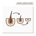 Hair follicle color icon