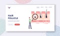 Hair Follicles Landing Page Template. Tiny Doctor with Huge Glass at Infographics Representing Hair Growth or Loss Cycle