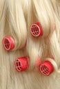 Hair in hair rollers Royalty Free Stock Photo