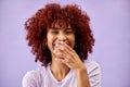 Hair, happy and portrait of woman laughing in studio for red, dye or afro makeover on purple background. Haircare