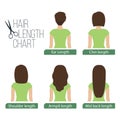 Hair length chart back view Royalty Free Stock Photo