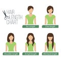 Hair length chart front view Royalty Free Stock Photo