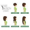 Hair length chart side view Royalty Free Stock Photo