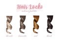 Hair locks colour palette natural shades