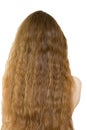 Hair long back Naked