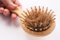 Hair loss fall with comb brush isolated on white background. Hairloss concept. Close up