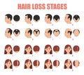 Hair loss stages vector isolated. Female and male