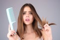 Hair loss woman with a comb and problem hair. Hairloss and hairs problems. Sad girl with damaged hair. Haircare and loss Royalty Free Stock Photo