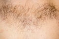 Hair on the male chest. Close-up. Royalty Free Stock Photo