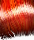 Hair orange Royalty Free Stock Photo
