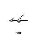 Hair, organ icon. Element of human organ icon. Thin line icon for website design and development, app development. Premium icon Royalty Free Stock Photo
