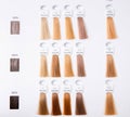 Hair palette dyed different colors. Hairstyle wig tints set for beauty industry. Isolated background Royalty Free Stock Photo