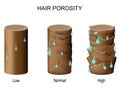 Hair porosity. Part of hair with water drops Royalty Free Stock Photo