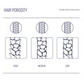 Hair porosity types chart of low, normal, high porous strand in line style