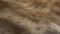 The hair of the reindeer, white fur mixed with gray and has a beautiful swaying pattern. Looks soft, pleasant to the touch