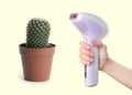 Hair removal concept. Cactus and woman holding modern photoepilator on white background, closeup