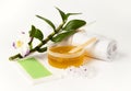 Hair removal or professional waxing beauty salon concept. Royalty Free Stock Photo