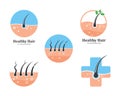 hair root icon vector illustration design