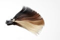 Hair samples fan Royalty Free Stock Photo