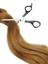 Hair and scissors in gingery hair Royalty Free Stock Photo