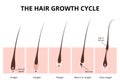 Hair structure