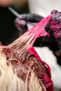 Hair stylist dying hair of woman with pink dye