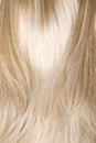 Hair texture