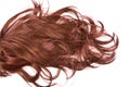 Hair texture Royalty Free Stock Photo